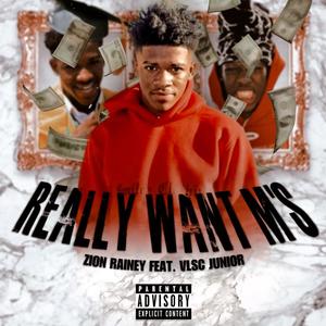 Really Want M's (feat. VlscJunior) [Explicit]