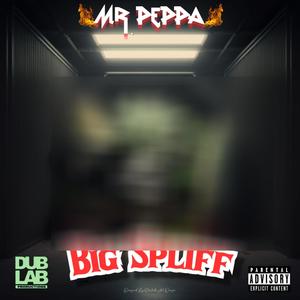 BIG SPLIFF (Explicit)