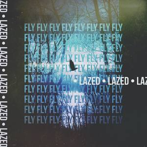 Fly