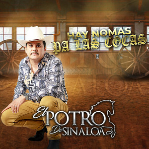 El Potro De Sinaloa - El Ratero (En Vivo)