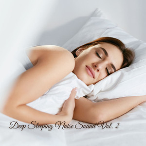 Deep Sleeping Noise Sound Vol. 2