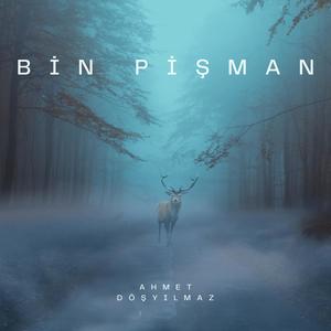 Bin Pişman (feat. Tuğçe Kandemir) (Remix)