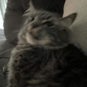 why u so mad? (nitecore) (Explicit)