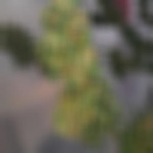 Hoy se toma (Explicit)