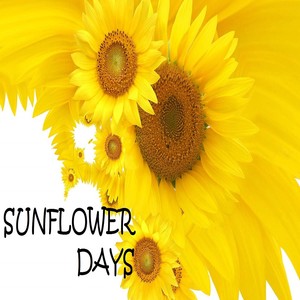 Sunflower Days (from the Musical "About Vincent Van Gogh") [feat. Martin Lewis]