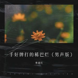 一手好牌打的稀巴烂 (男声新版)