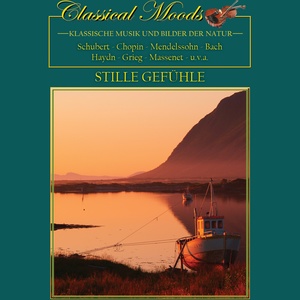 Symphony in C Major - Symphony