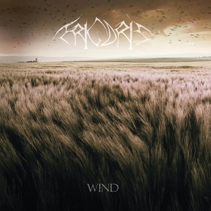 Wind