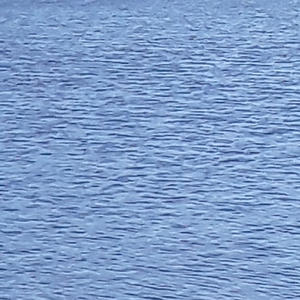 Salute BlaQvision (feat. Unastor)