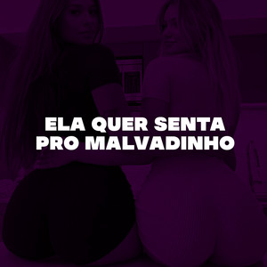 ELA QUER SENTA PRO MALVADINHO (Explicit)