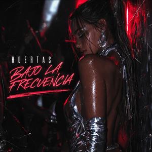 Bajo la frecuencia (Extended Mix)