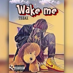 Wake Me (Explicit)