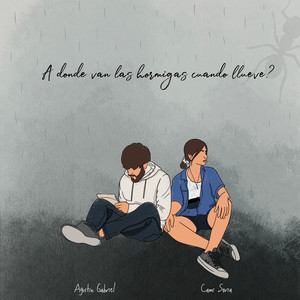 ¿A donde van las hormigas cuando llueve?