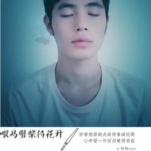 喂马劈柴待花开