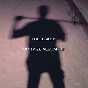 Vintage album