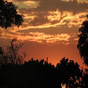 Fuego Ancestral (Explicit)