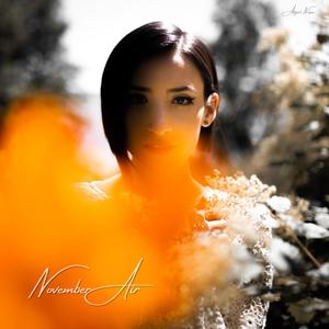 November Air
