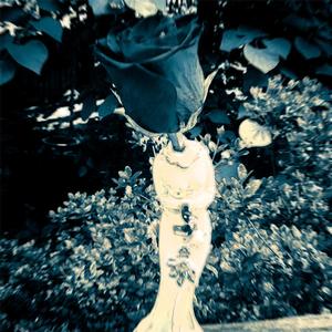 Feel Some Type of Way (feat. Vinny Schuetz) (Explicit)