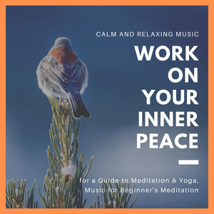 Work On Your Inner Peace (Calm And Relaxing Music For A Guide To Meditation & Yoga, Music For Beginner's Meditation)