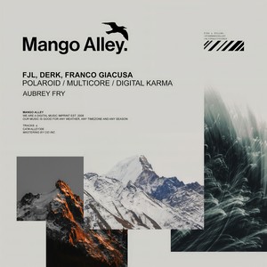 Polaroid (Aubrey Fry 'Vortex' Remix)