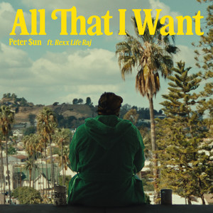 All That I Want (Explicit)