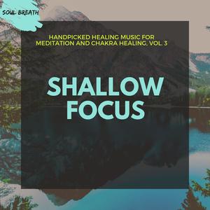 Shallow Focus - Handpicked Healing Music For Meditation And Chakra Healing, Vol. 3