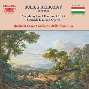 Symphony No. 1 in D Minor, Op. 45 - I. Maestoso: Allegro