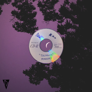 Too Much (2022 Remaster|Explicit)