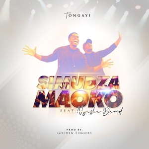 Simudza Maoko (feat. Nyasha David)