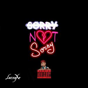 Still Not Sorry (Explicit)
