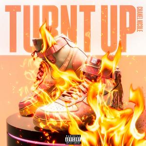 Turnt Up (Explicit)