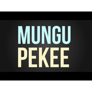 Mungu Pekee