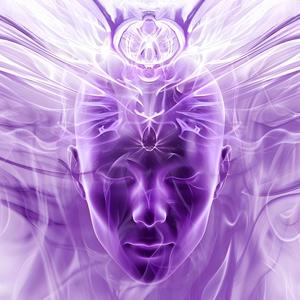 Lavender Horizon Flow