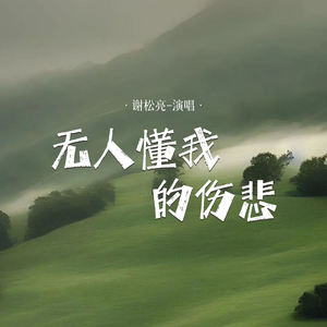 无人懂我的伤悲