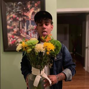BEE's Knees Freestyle (Explicit)