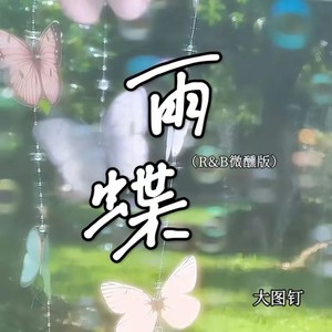 雨蝶 (R&B微醺版)封面