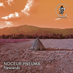 Newlands (Original Mix)