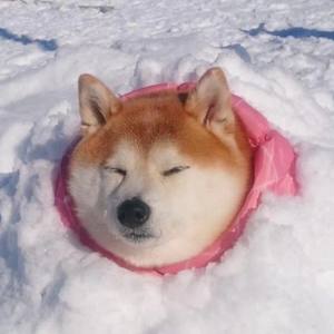 i wish i was dead and cold >:)