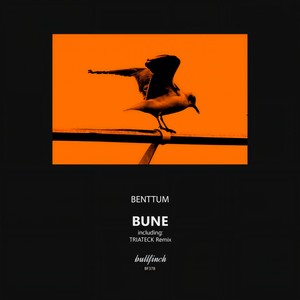 Bune (Triateck Remix)