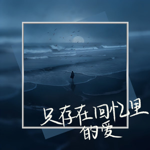 只存在回忆里的爱