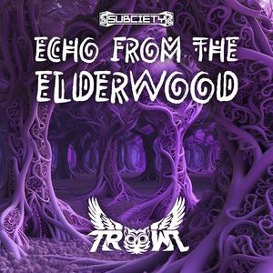 Echo from the Elderwood