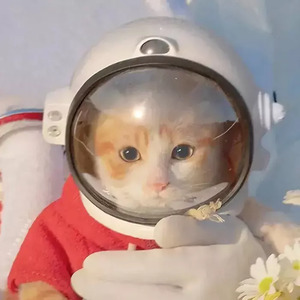 北阳 - 爱的回归线 (片段版)