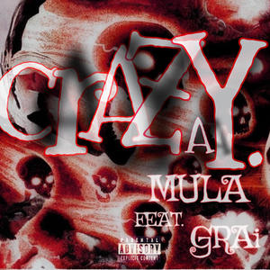 Crazy (feat. GRAi) (Explicit)