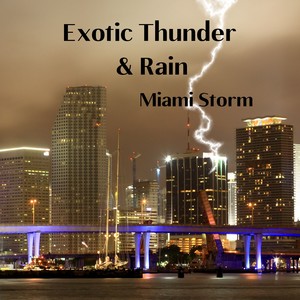 Miami Storm