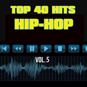 Top 40 Hits Hip Hop, Vol. 5