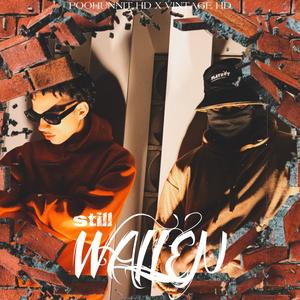Still Wallen (feat. Vintage HD) (Explicit)