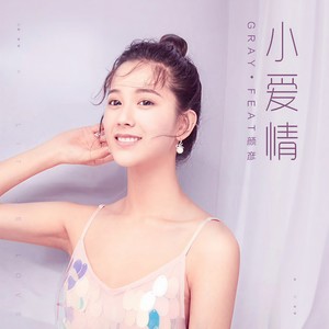 小爱情封面