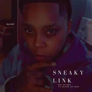 Sneaky link (feat. Juiced up Joey) [Explicit]