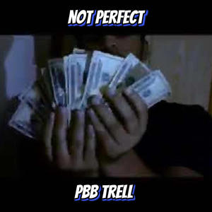 Not Perfect (feat. Paper Boy Trell) [Explicit]