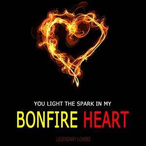 You Light the Spark in My Bonfire Heart